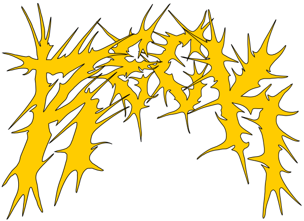 Yellow On Transparent